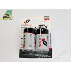 Alcaline primary batteries LR20 Blister (2 pcs) (50320)