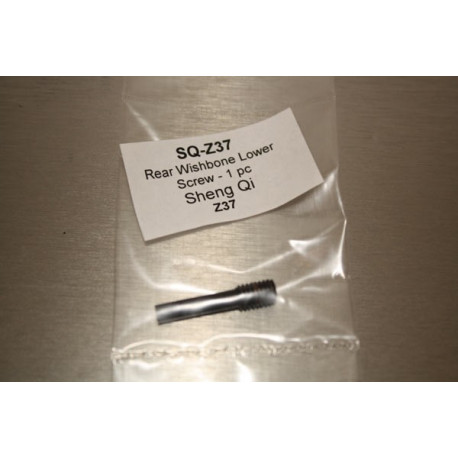 Rear Wishbone Lower Screw - 1 pc (Z37)